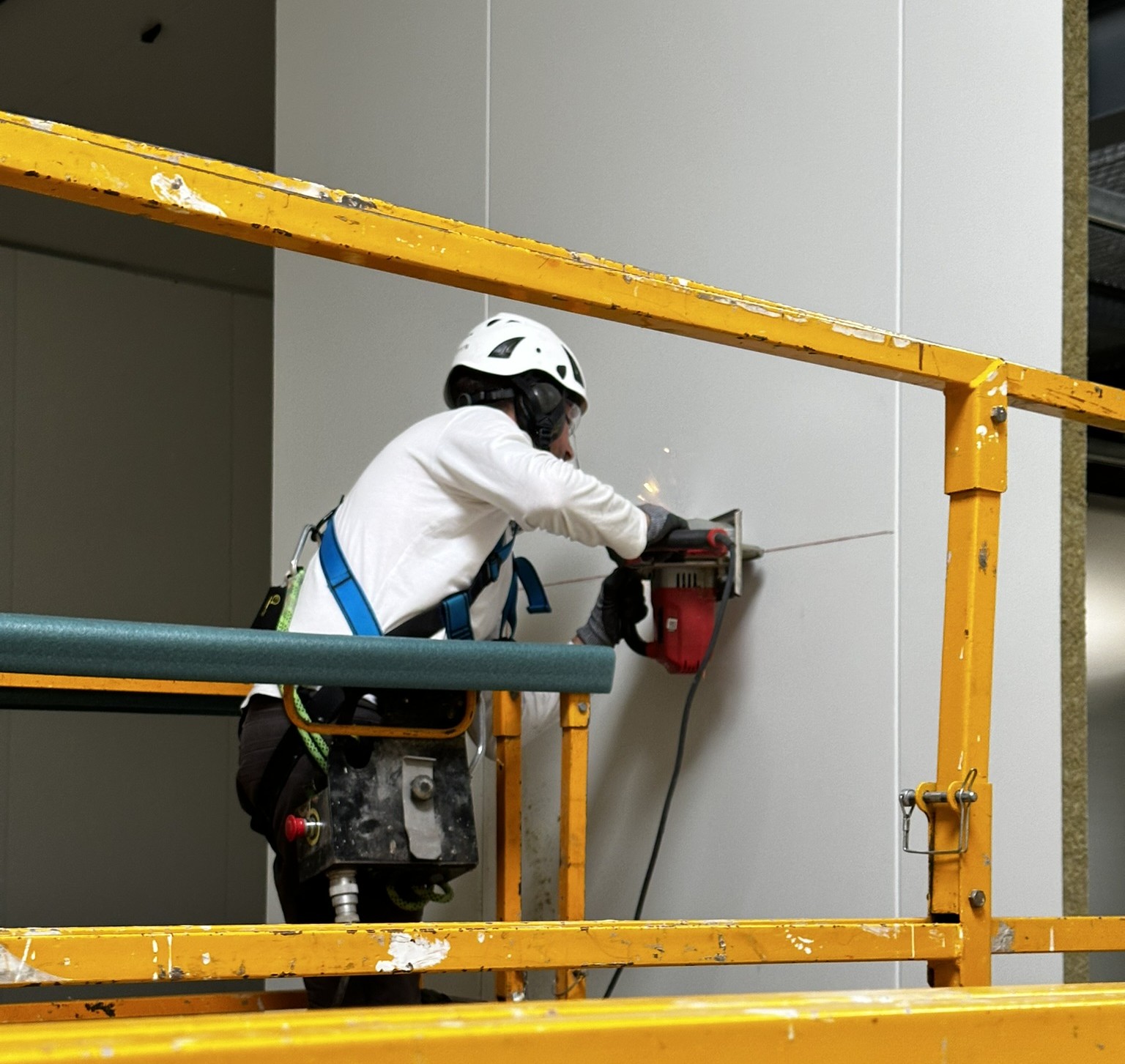 Une main tenant une jeune plante au creux de sa paume